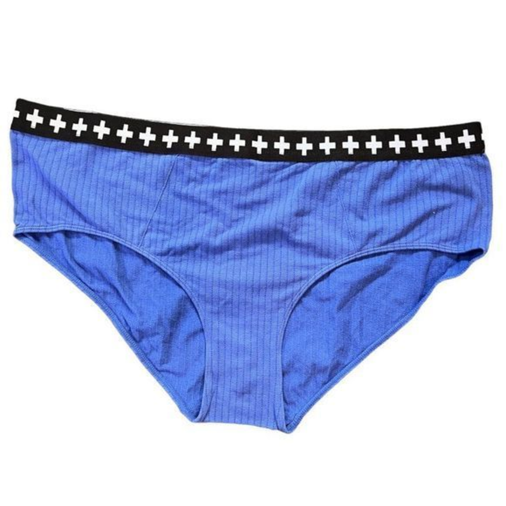 NWOT BP + WILDFANG Hipster Briefs Underwear in Blue Dazzle (3X)